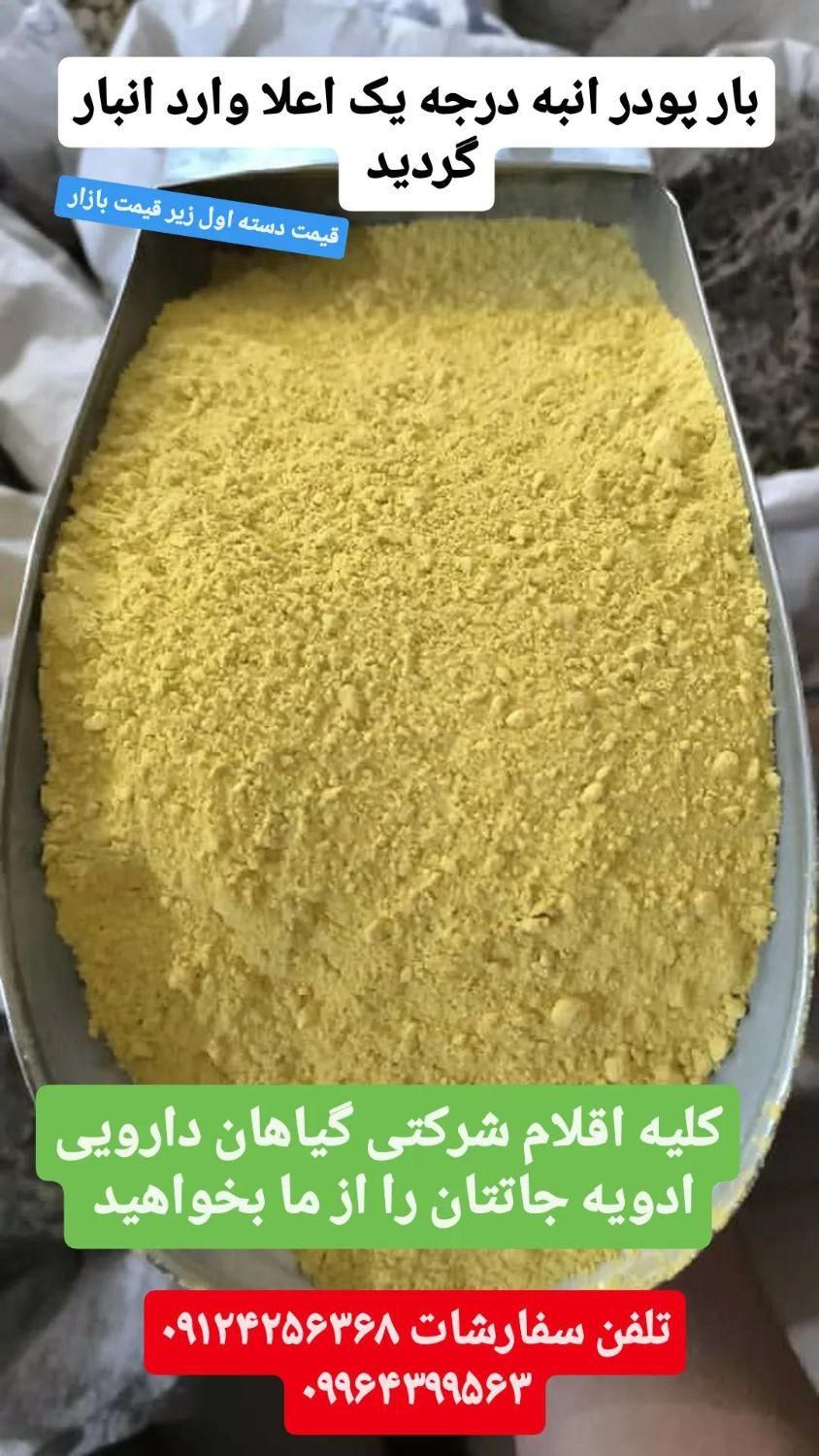 پخش عمده پولبیبرفلفل ترکیه ای پودرانبه وخردل وغیره|خوردنی و آشامیدنی|تهران, شهرک استقلال|دیوار