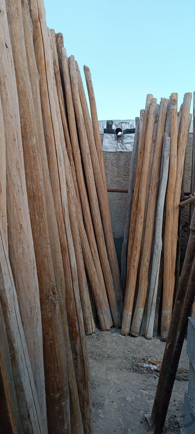 خرید چوب مربا خارجی ایرانی تخته