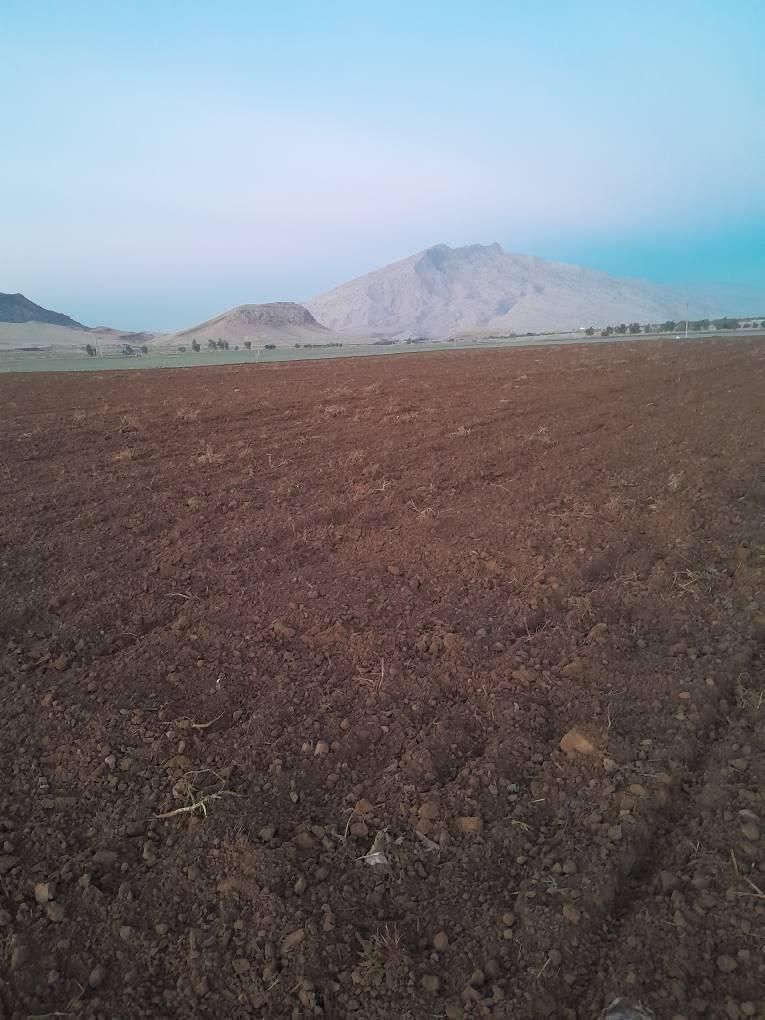 اجاره یکساله ۱۸ هکتار زمین کشاورزی با چاه آب۶ اینچ|اجارهٔ دفتر صنعتی، کشاورزی، تجاری|اندیمشک, |دیوار