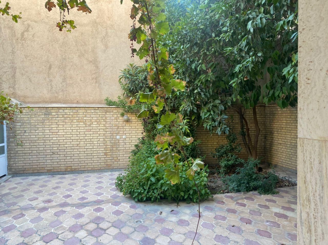 اجاره آپارتمان و سوئیت مرکز شهر|اجارهٔ کوتاه‌مدت آپارتمان و سوئیت|شیراز, کوی زهرا|دیوار