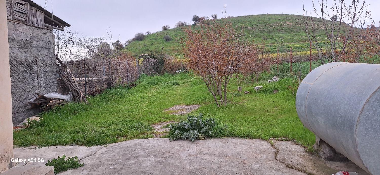زمین باغی روستای نصرآبادبه متراژ ۱۳۵۶مترمربع|فروش دفتر صنعتی، کشاورزی، تجاری|گرگان, |دیوار