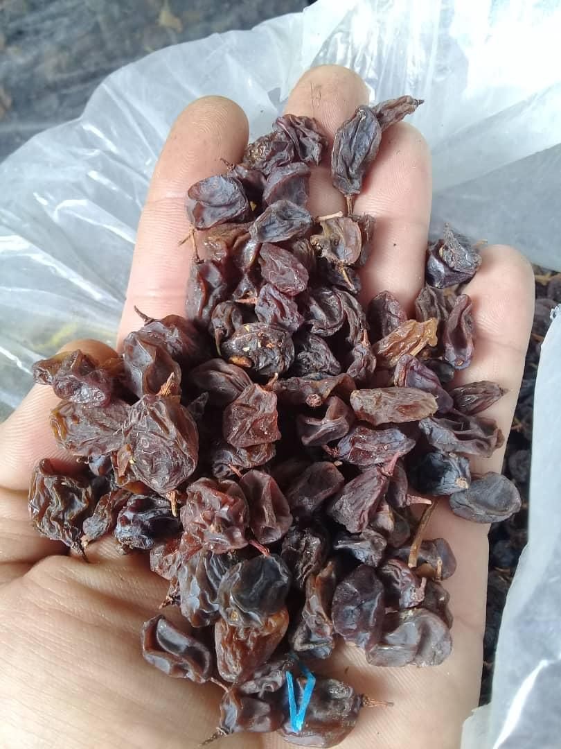 فروش عمده مویز|عمده‌فروشی|شیراز, کاراندیش|دیوار