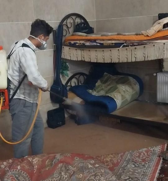 سمپاشی منزل باضمانت ریشه کنی حشرات فقط.دریک مرحله|خدمات نظافت|قرچک, |دیوار