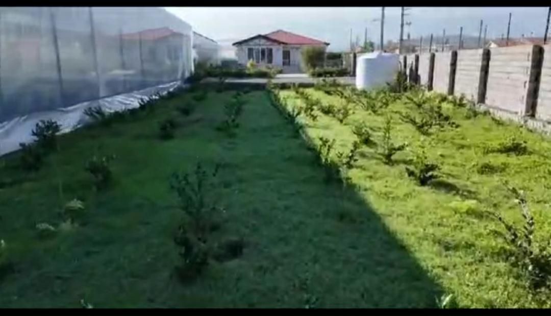 گلخانه /۱۳هزار و ۵۰۰متری/بادو پروانه و دو سند|فروش زمین و ملک کلنگی|چمستان, |دیوار