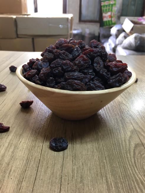 کشمش ابگیری آفتابی|خوردنی و آشامیدنی|تهران, جمهوری|دیوار