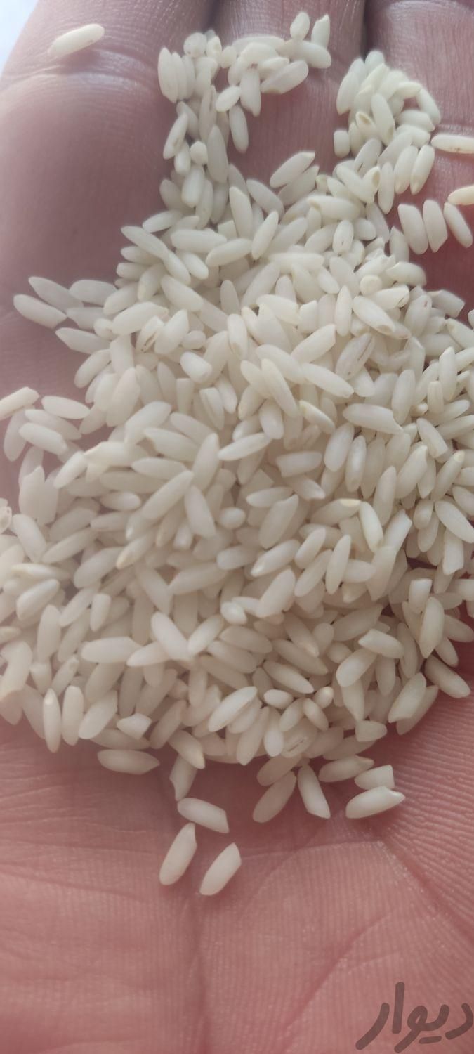 برنج عنبر بو دانه کامل|خوردنی و آشامیدنی|اهواز, بهارستان|دیوار