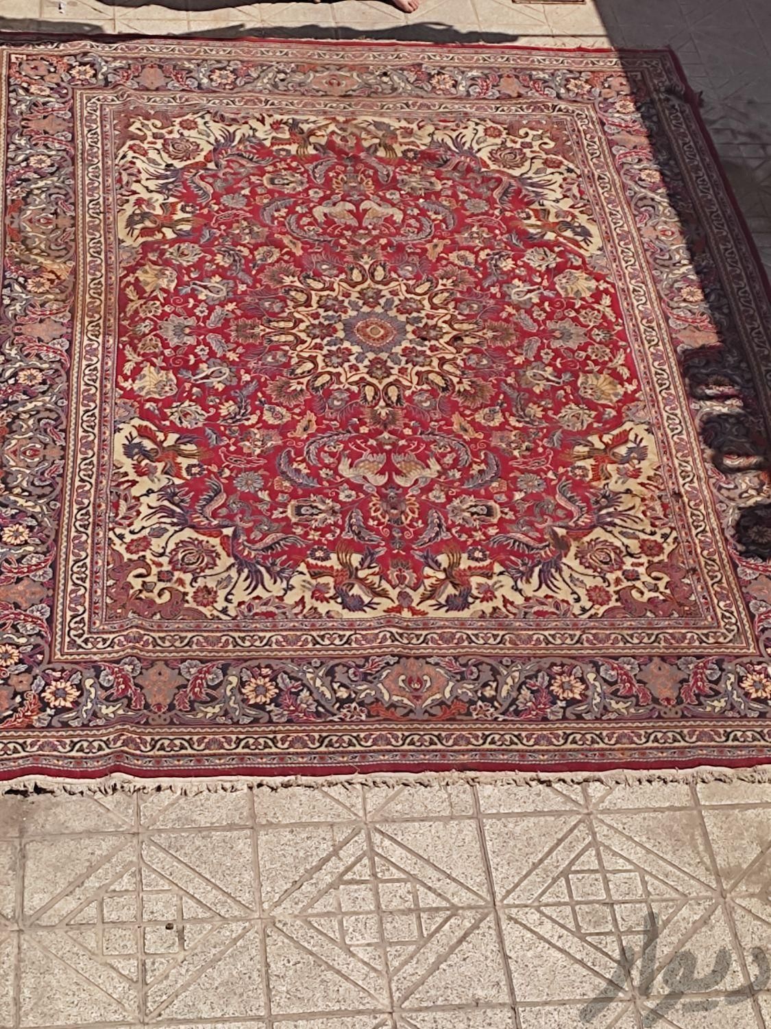 فرش ماشینی|فرش|اصفهان, عاشق‌آباد|دیوار