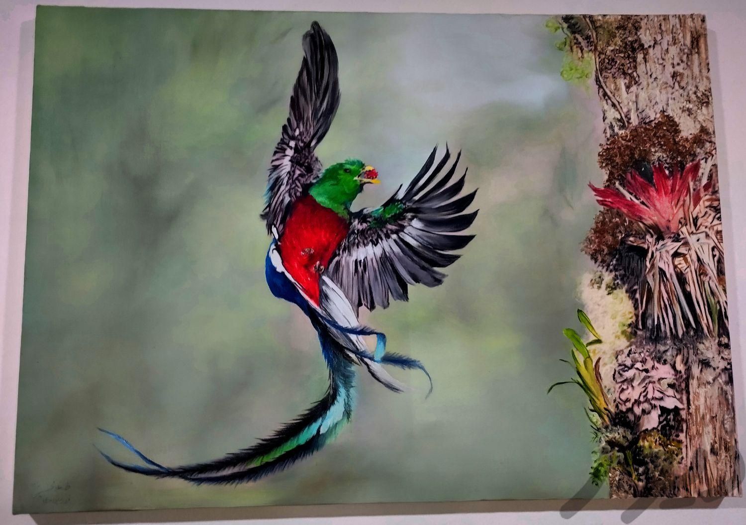 تابلو نقاشی (پرنده)|تابلو، نقاشی و عکس|اهواز, کیانپارس |دیوار