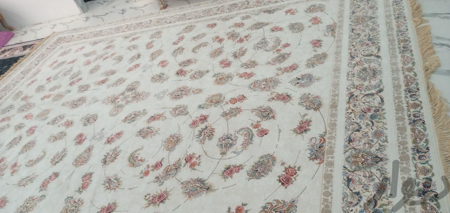 فرش۱۲متری با گلهای برجسته کاملا سالم در حد نو|فرش|گلستان, |دیوار