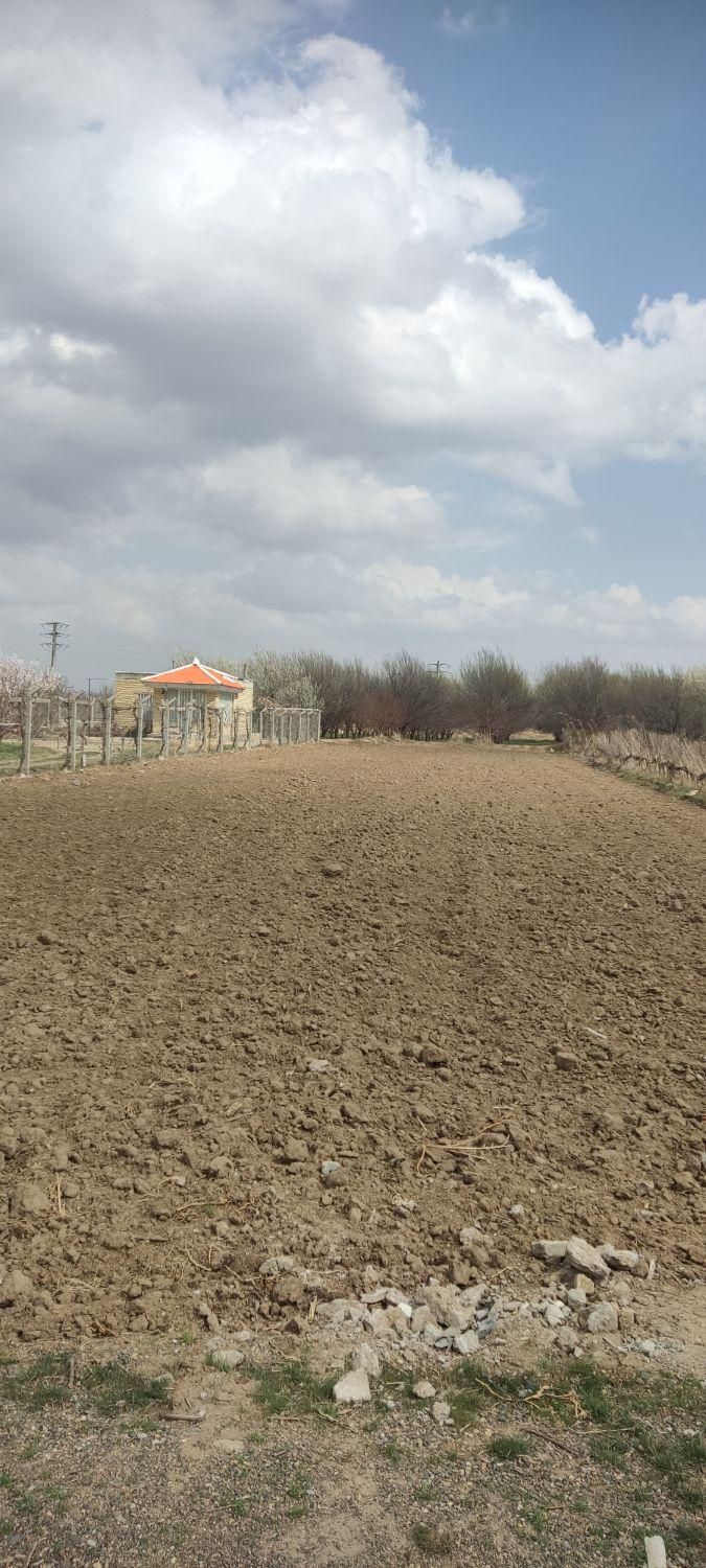 فروش زمین کشاورزی منصور کندی(1230متری)|فروش دفتر صنعتی، کشاورزی، تجاری|میاندوآب, |دیوار