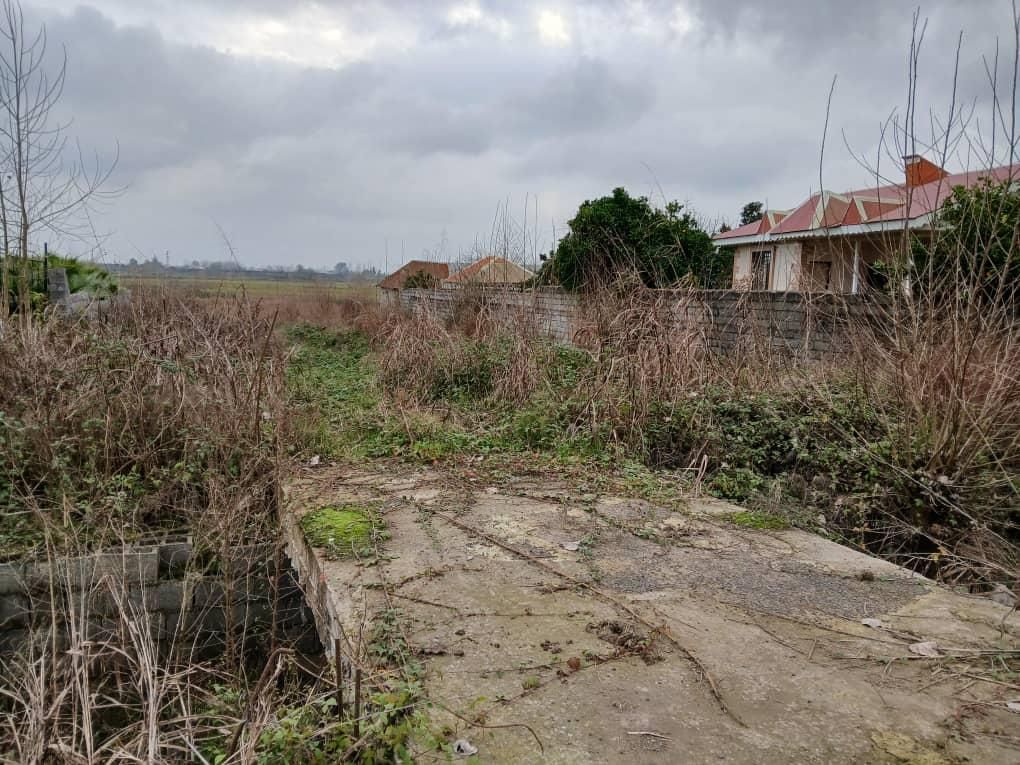 فروش یک قطعه زمین برای سرمایه گذاری|فروش زمین و ملک کلنگی|لشت نشا, |دیوار