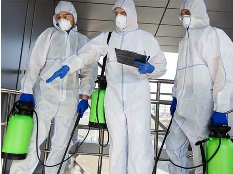 سمپاشی اسپادانا|خدمات نظافت|فولادشهر, B1|دیوار