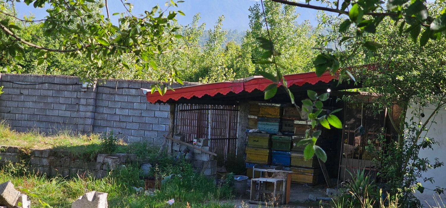 گلخانه۸۰۰متری دور محصور|فروش دفتر صنعتی، کشاورزی، تجاری|املش, |دیوار
