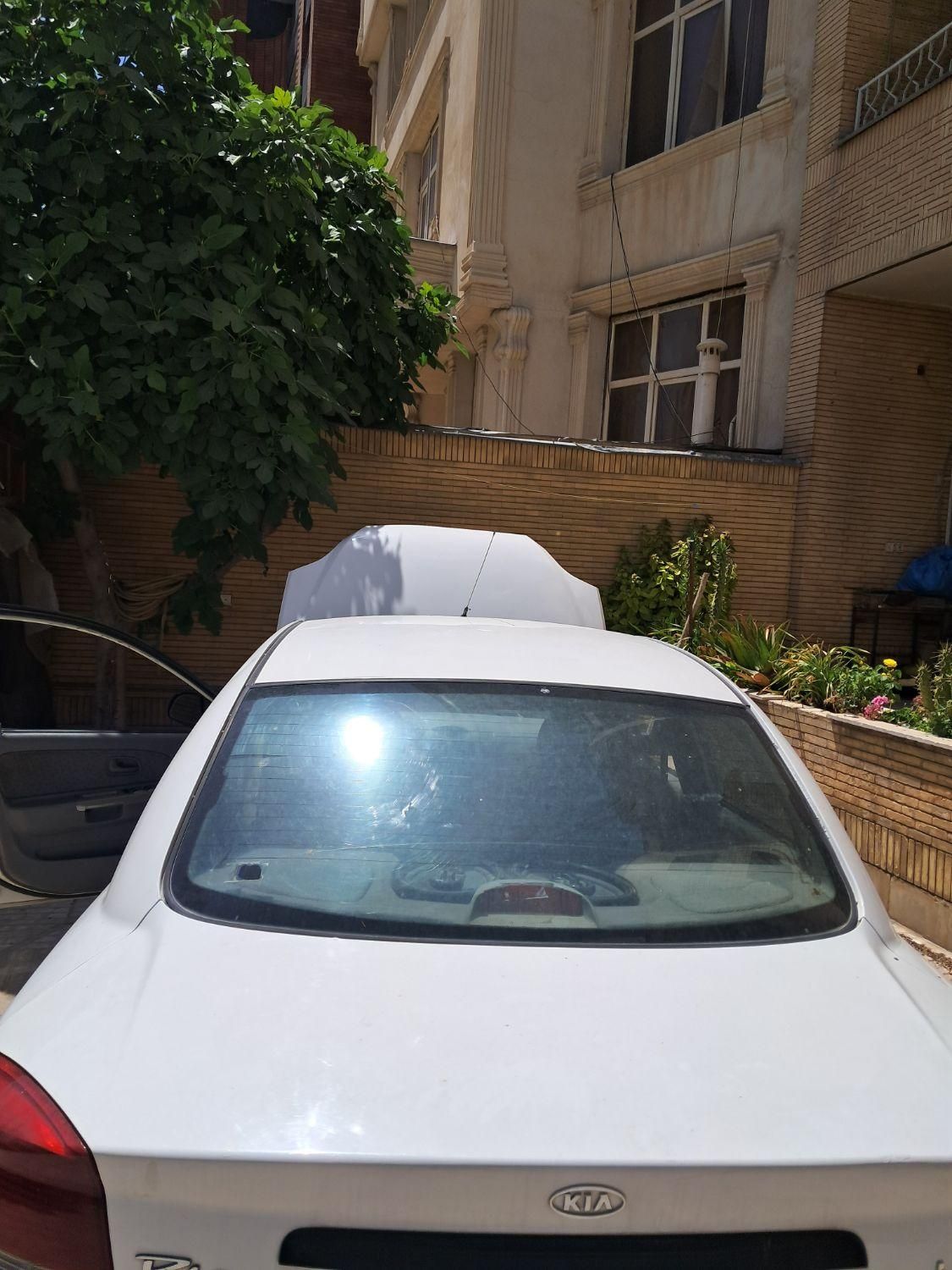 کیا ریو مونتاژ دنده‌ای، مدل ۱۳۸۸|خودرو سواری و وانت|شیراز, هفت تنان|دیوار