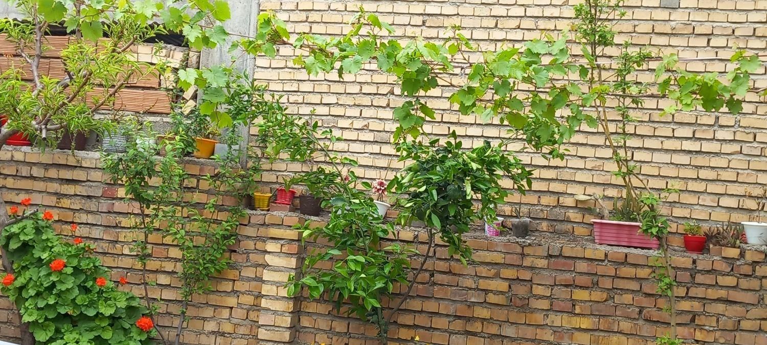 اجاره روزانه/هفتگی/روزانه سویت|اجارهٔ کوتاه‌مدت آپارتمان و سوئیت|مینودشت, |دیوار