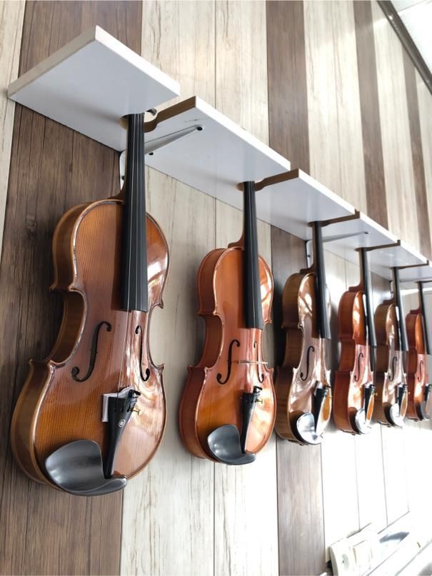 انواع ویولن مبتدی و نیمه حرفه ای|ویولن|شیراز, رازی|دیوار