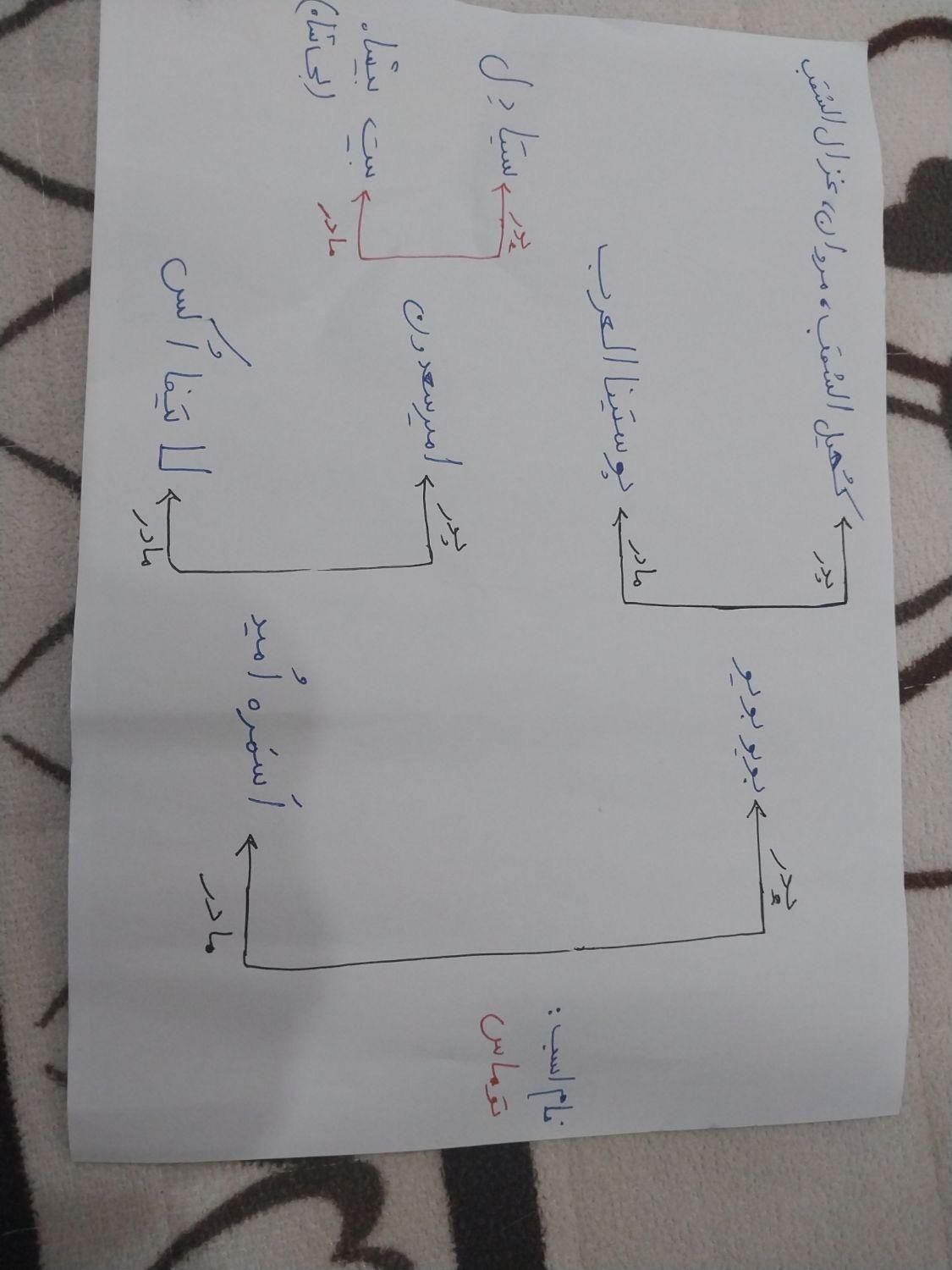 فروش اسب دوسر وارداتی|اسب و تجهیزات اسب‌سواری|تهران, جوادیه|دیوار