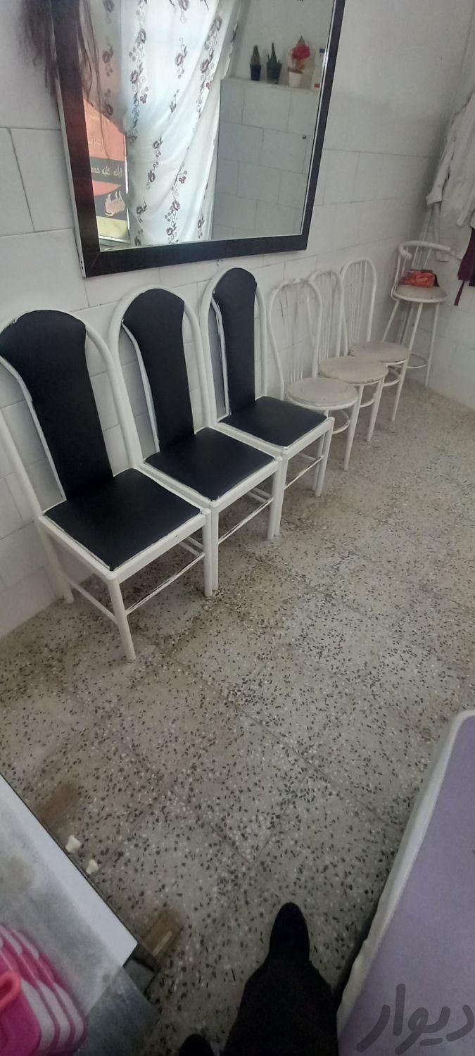 شیش عدد صندلی|صندلی و نیمکت|کرمانشاه, |دیوار