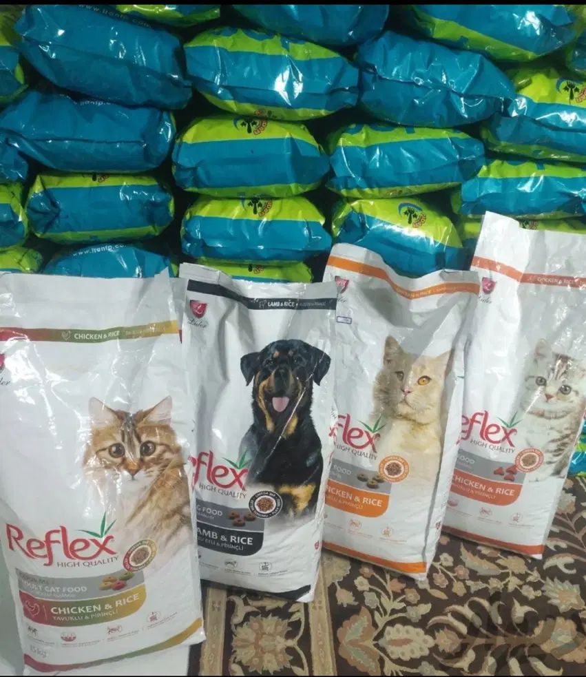 Reflex خشک|لوازم جانبی حیوانات|مشهد, گلبرگ|دیوار