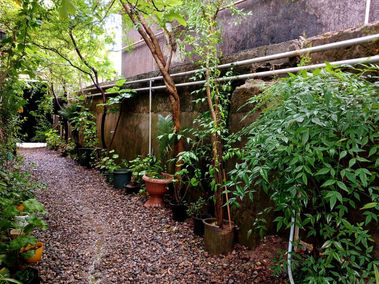 اجاره ویلا جاده آبشار آب پری (130مترمربع)|اجارهٔ کوتاه‌مدت آپارتمان و سوئیت|نوشهر, |دیوار