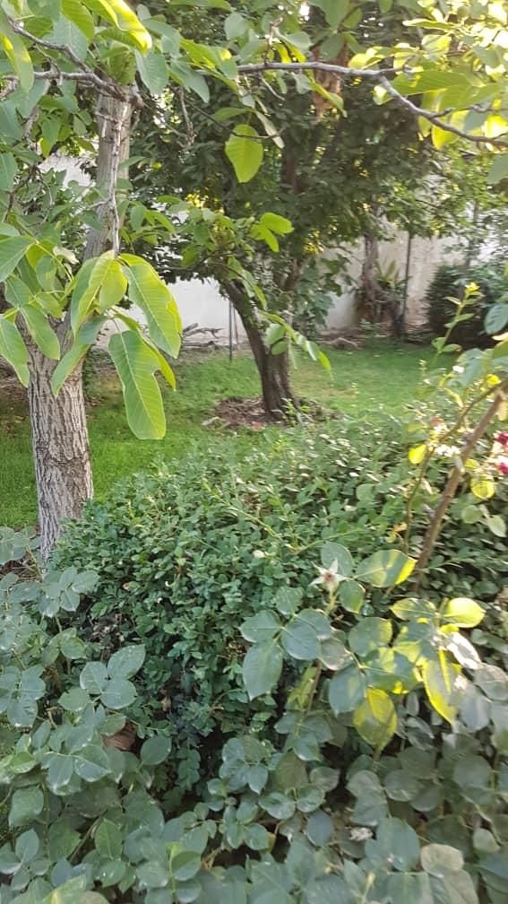 ۱۲۸۰ متر ویلاباغ محمدشهر تهاتر با اپارتمان واحد|فروش خانه و ویلا|محمدشهر, محمدشهر|دیوار