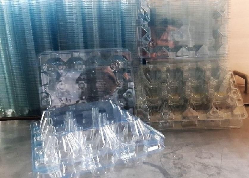 پک دکمه دار برای بسته بندی تخم بلدرچین|ظروف نگهدارنده، پلاستیکی، یک‌بارمصرف|آمل, |دیوار