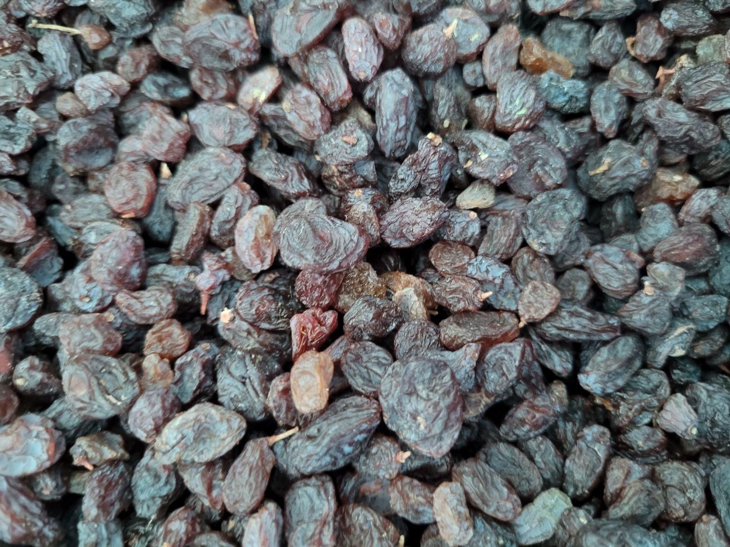 کشمش آفتابی عمده خرده|خوردنی و آشامیدنی|یزد, |دیوار