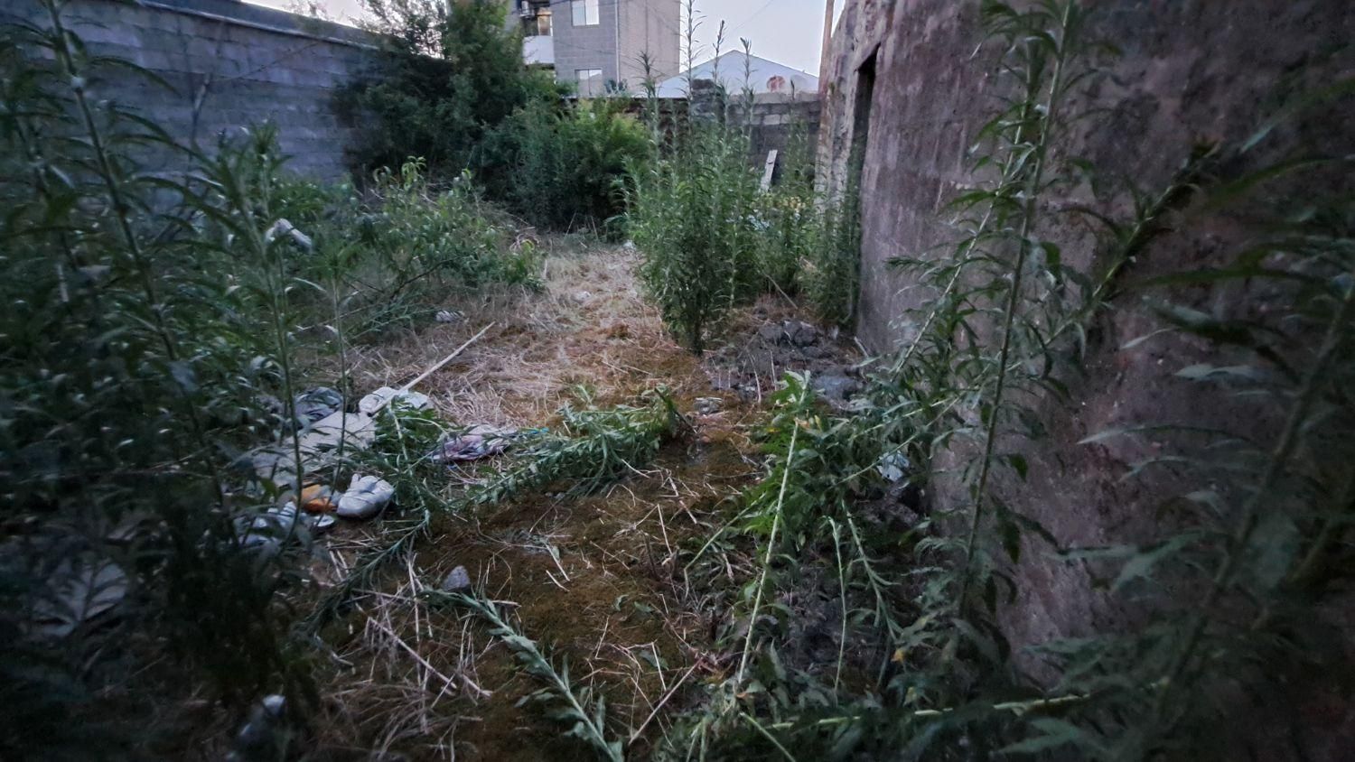 فروش معاوضه زمین/سندتکبرگ/خ آذربایجان/نزدیک دریا|فروش زمین و ملک کلنگی|بندر انزلی, آذربایجان|دیوار