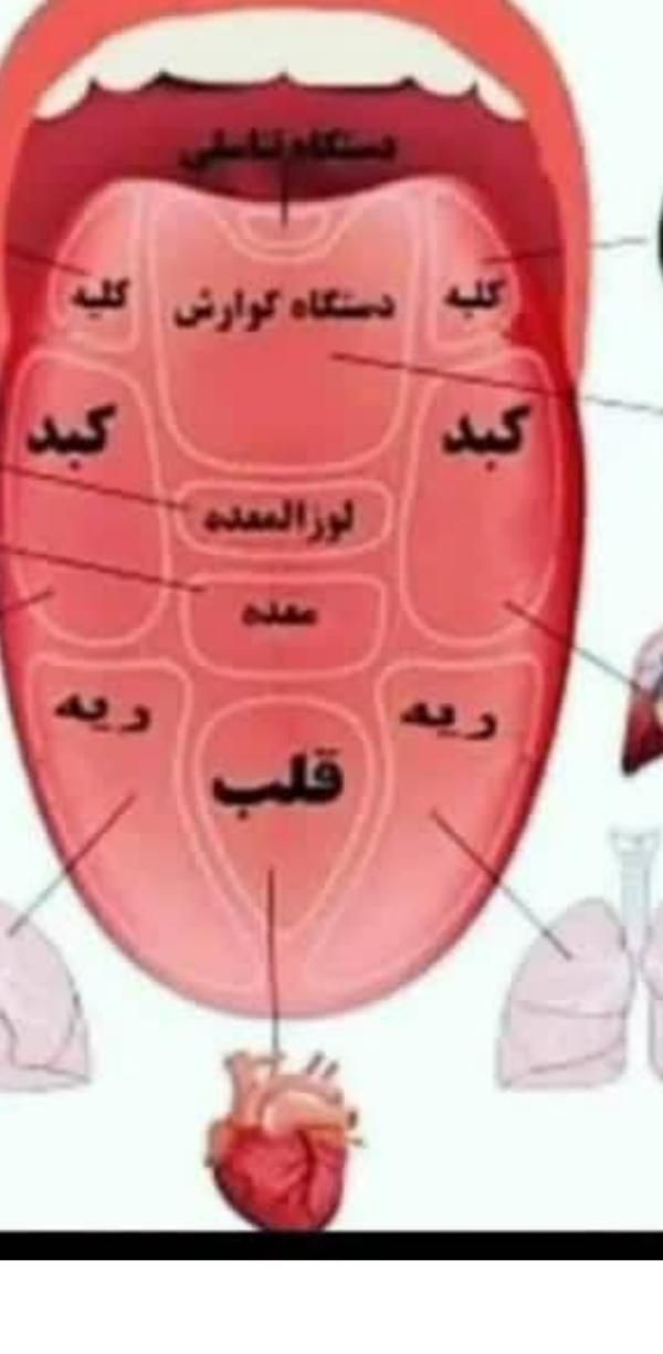 درمان انواع سرطان|آرایشی، بهداشتی، درمانی|زنجان, |دیوار