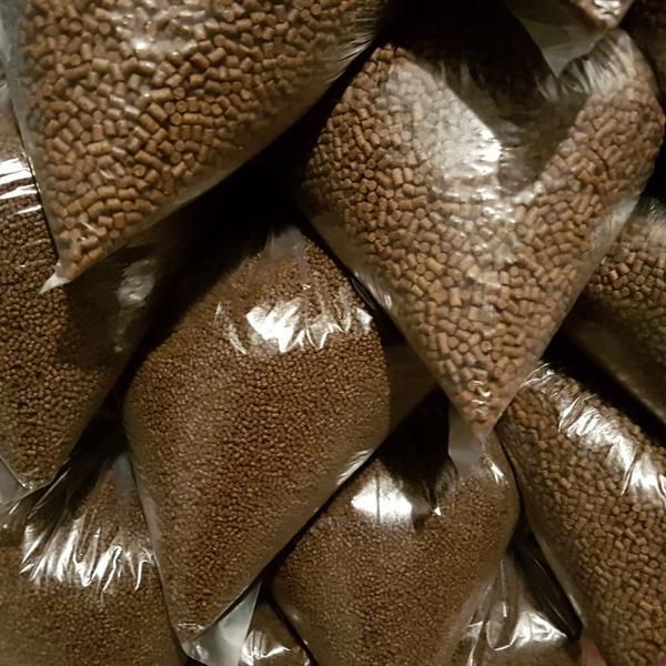 قوطی خوراک ماهی گوشتخوار و گیاه خوار کوی قرمز گوپی|ماهی|تهران, تجریش|دیوار