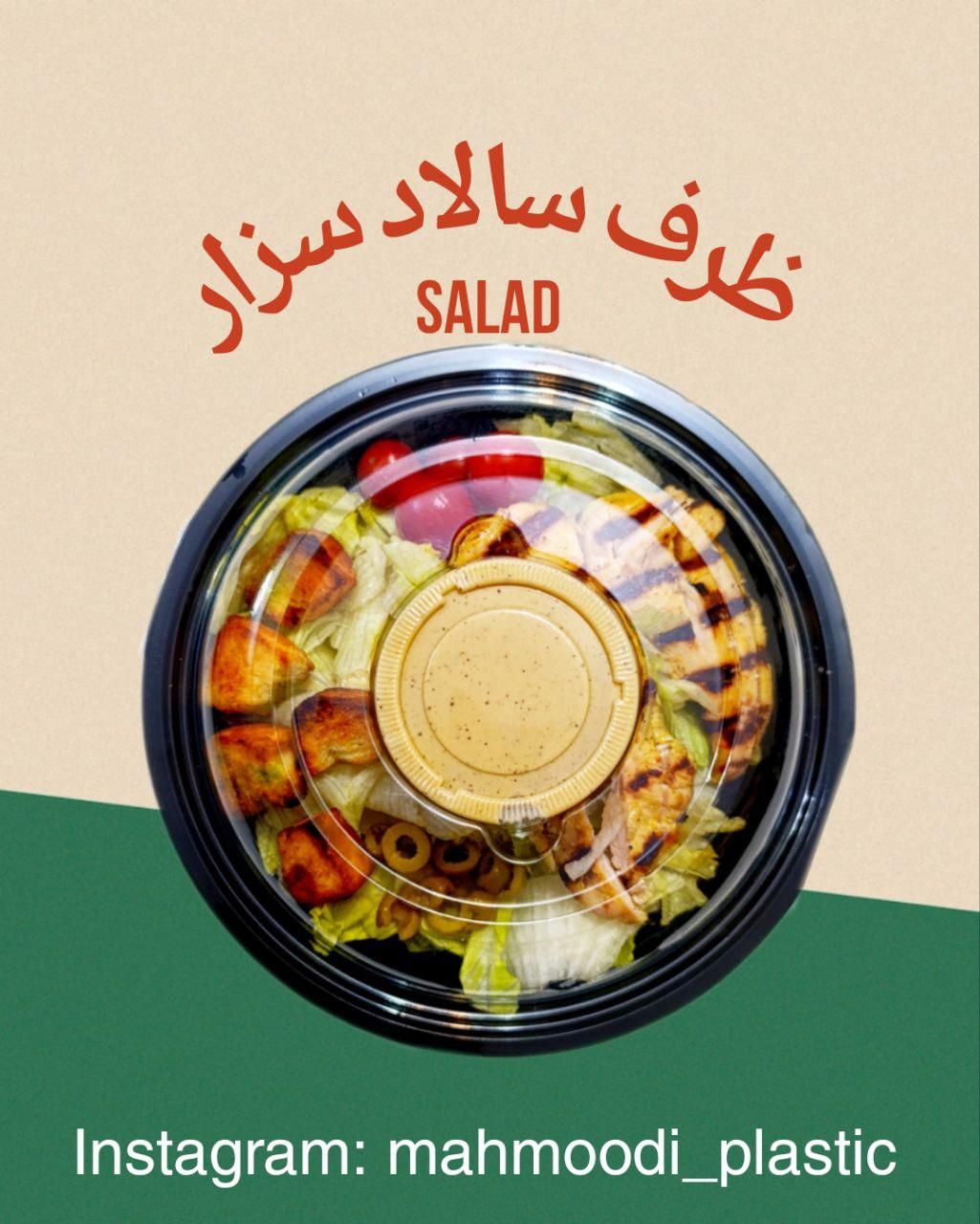 ظرف یکبارمصرف سالاد سزار|ظروف نگهدارنده، پلاستیکی، یک‌بارمصرف|تهران, مولوی|دیوار