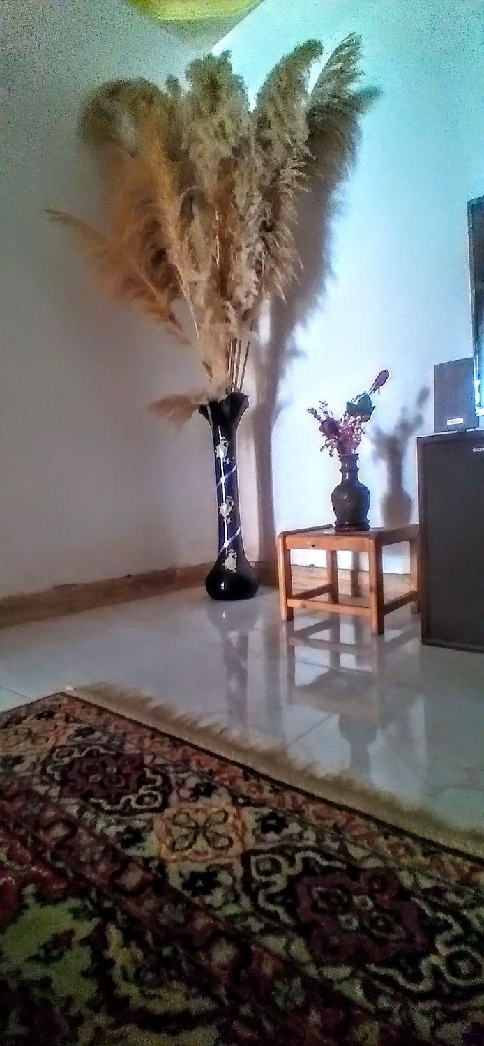 ۸قلم جنس مفت گذاشتم فورش فوری همه سالم|حراج|رشت, سلیمانداراب|دیوار