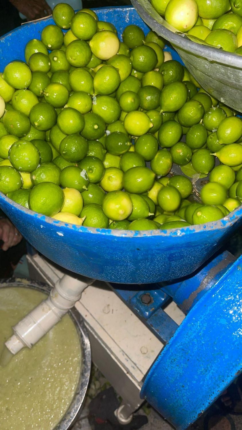 ابلیموگیری  سبحان|خوردنی و آشامیدنی|بندرعباس, |دیوار