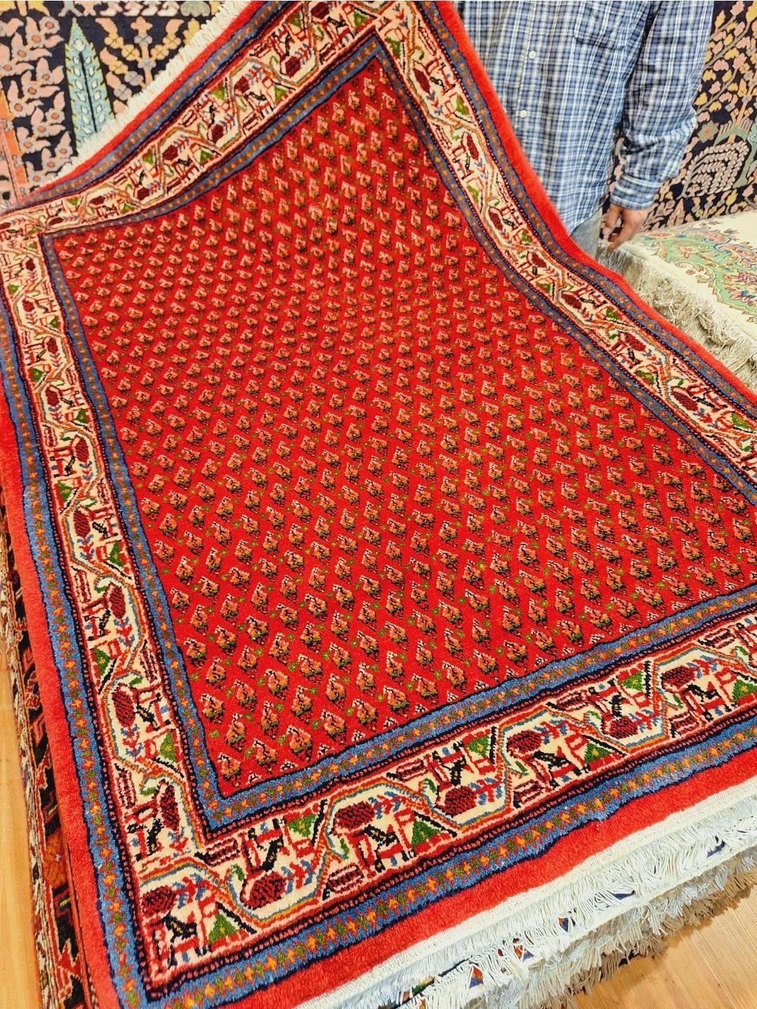 ذرع و نیم دستباف اراک|فرش|تهران, اکباتان|دیوار