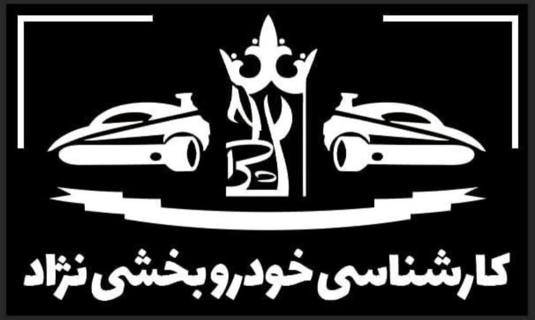 کارشناسی خودرو فنی و بدنه|خدمات موتور و ماشین|تهران, هروی|دیوار