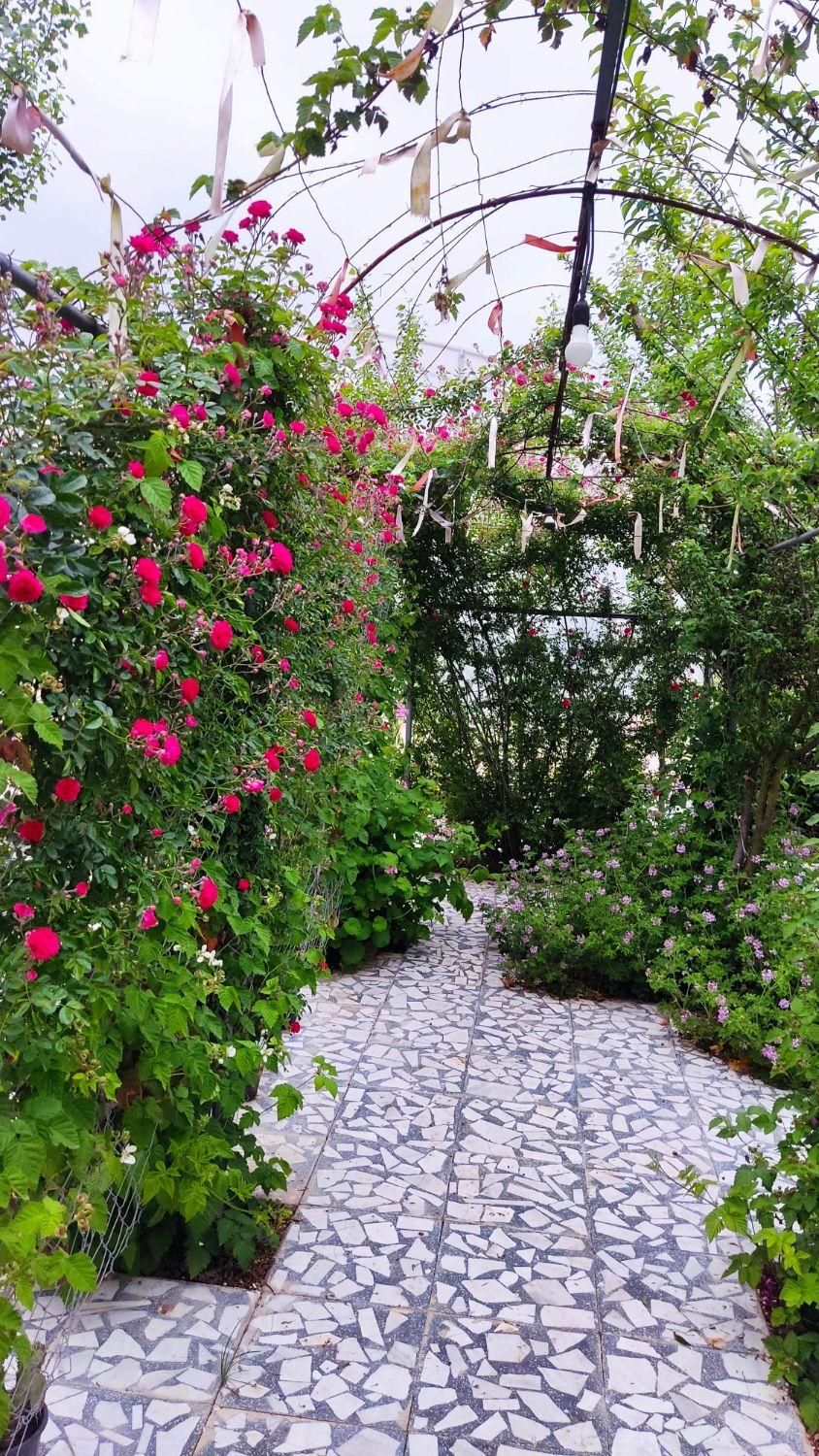 سوئیت جای دنج پر از آرامش|اجارهٔ کوتاه‌مدت ویلا و باغ|قائم‌شهر, |دیوار