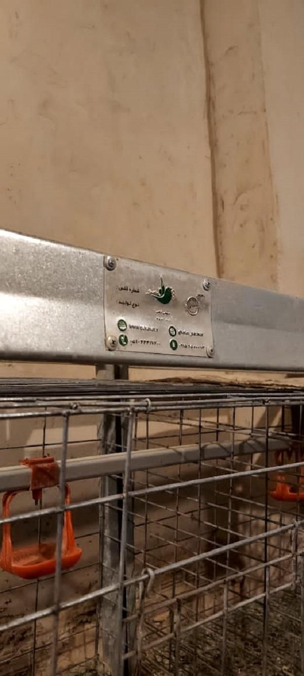 3 عدد سه طبقه قفس مرغ پرآور دارم|کلکسیون و سرگرمی|زاهدان, |دیوار