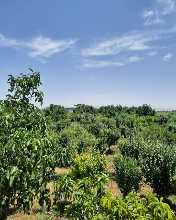 باغ نوبهار|فروش خانه و ویلا|گلبهار, |دیوار