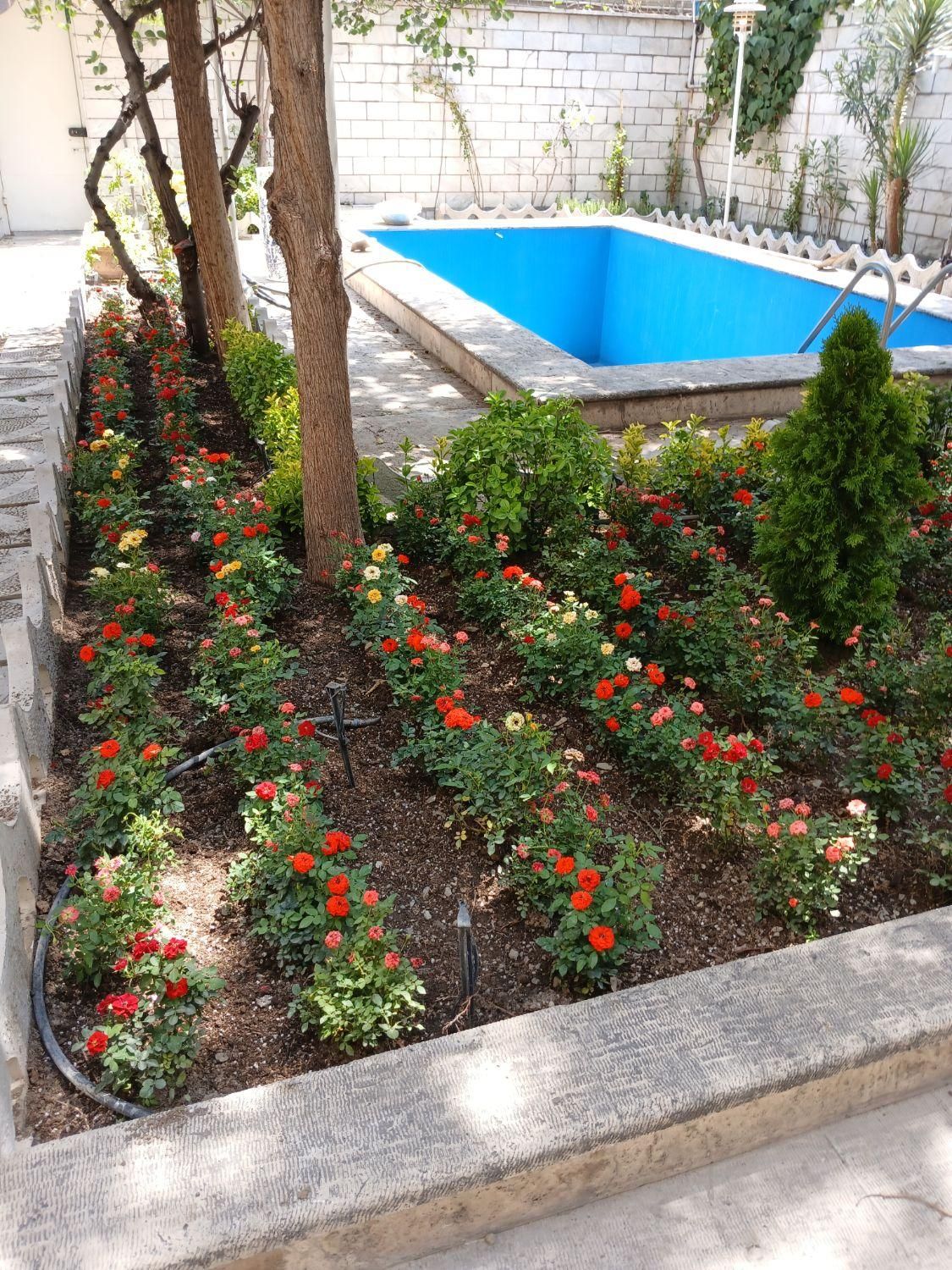خدمات باغبانی وتعویض خاک گلدون درمنزل وشرکت|خدمات باغبانی و درختکاری|تهران, سید خندان (جلفا)|دیوار