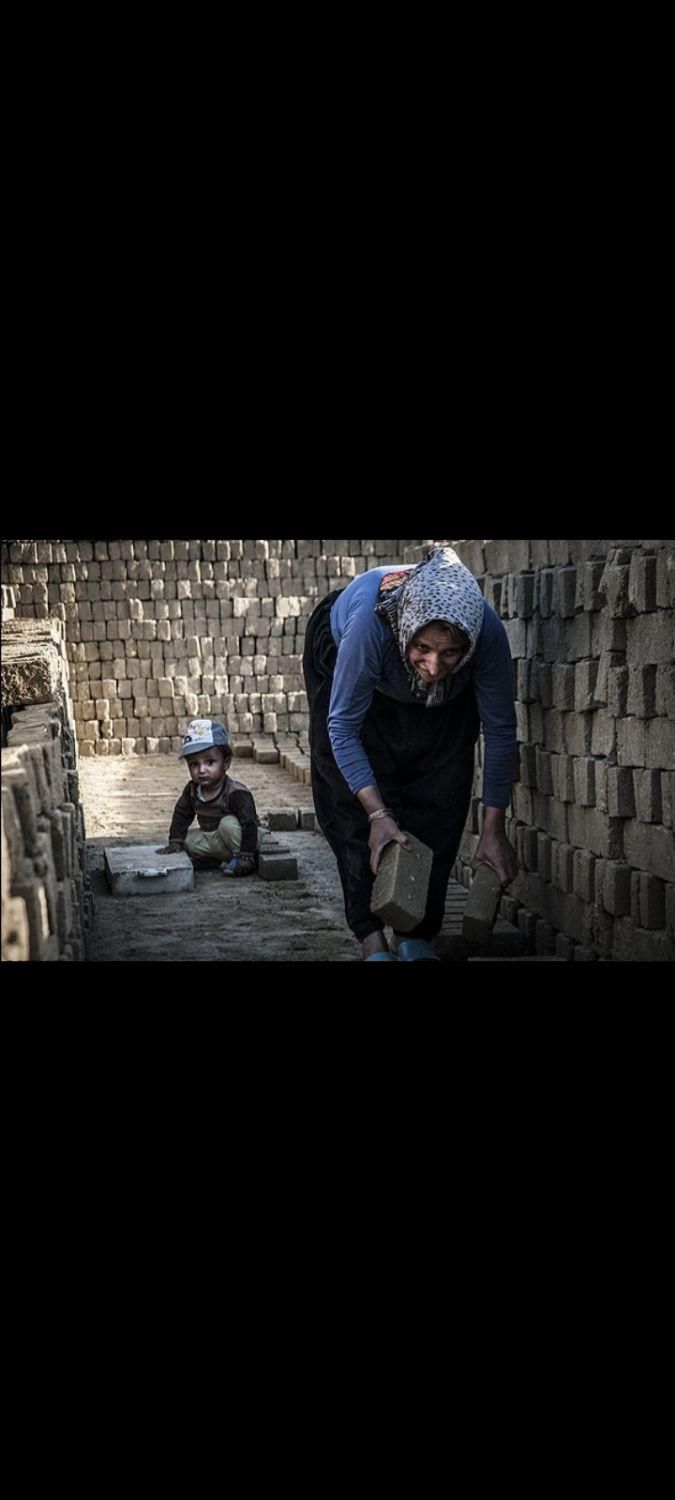 بلوکه سفال آجر سه گل ده گل آژند ( سفارش مستقیم)|مصالح و تجهیزات ساختمان|مشهد, رضاشهر|دیوار