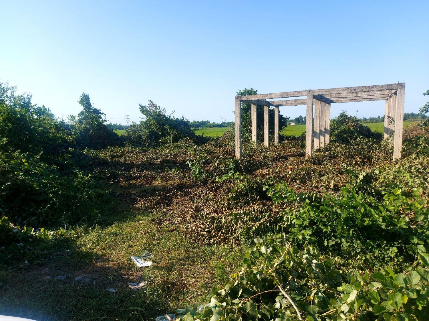 ۵۰۰ متر زمین مسکونی با پروانه|فروش زمین و ملک کلنگی|رضوانشهر, |دیوار