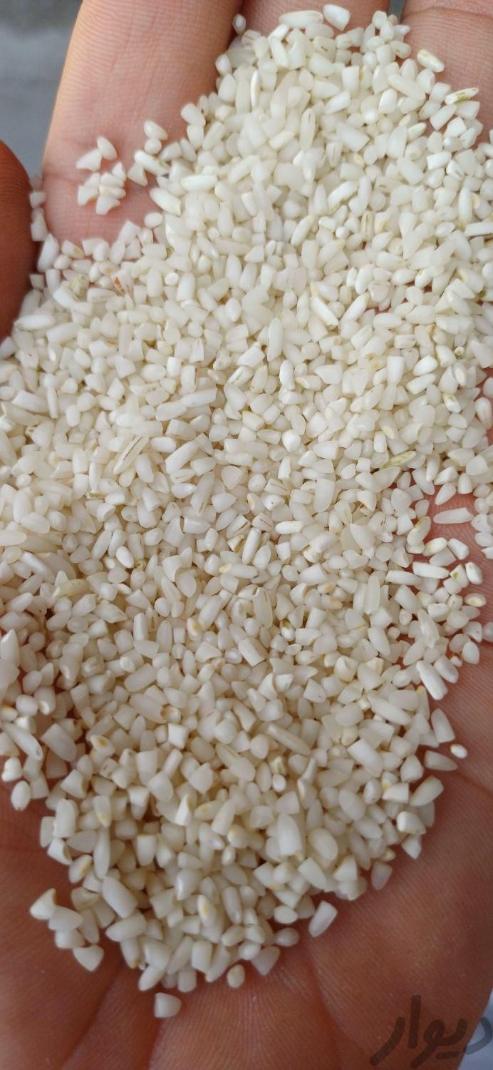 برنج عنبر بو نیم دانه|خوردنی و آشامیدنی|اهواز, بهارستان|دیوار