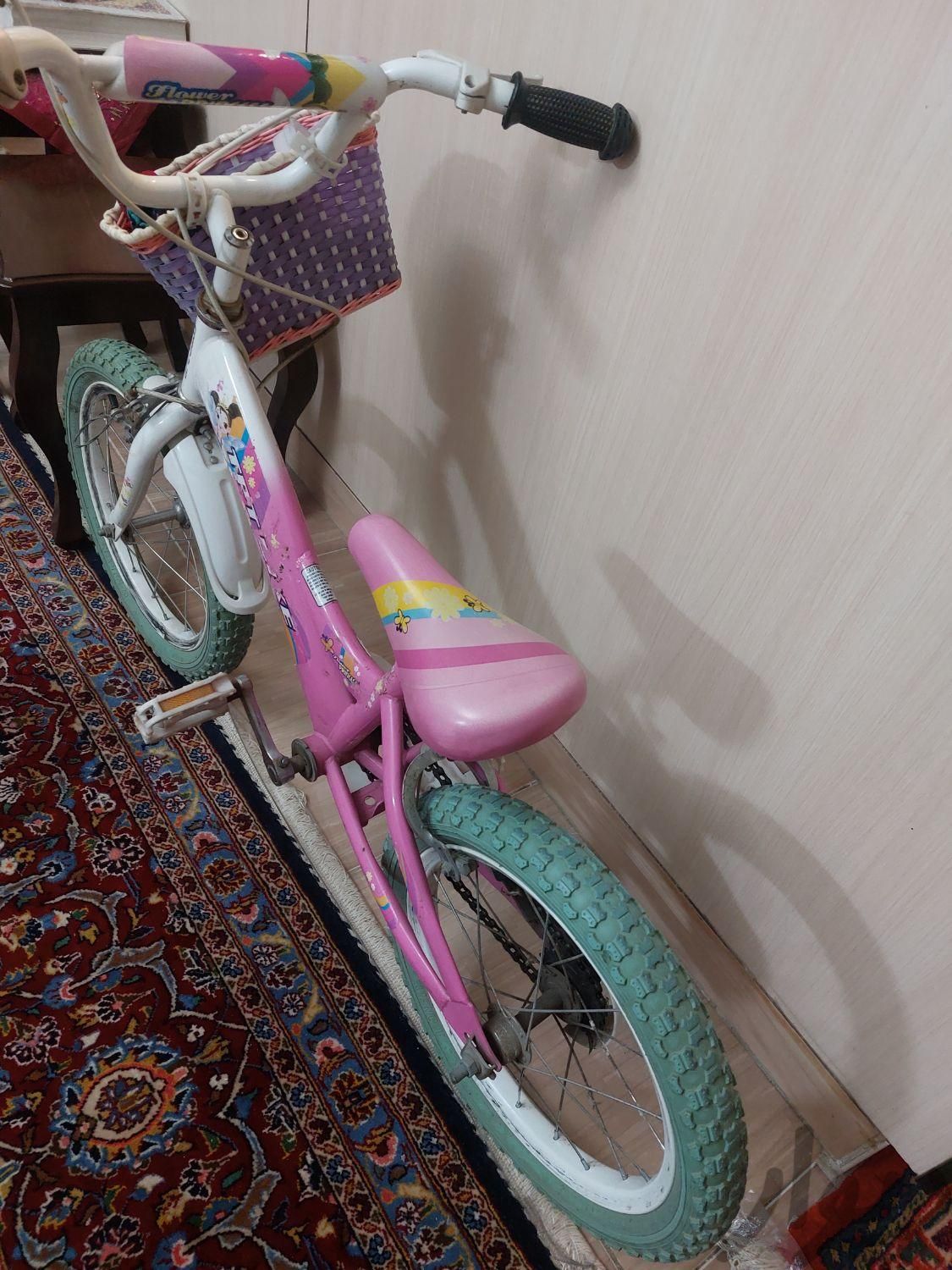 دوچرخه سبددار|اسباب بازی|تهران, مولوی|دیوار