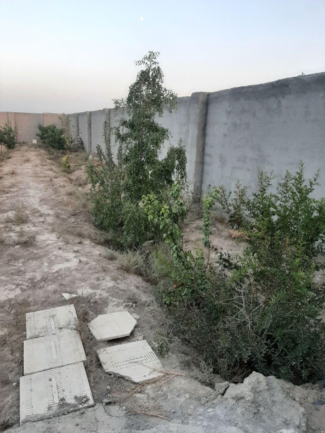 فروش زمین ۶۰۰ متری واقع در حصار مهتر شرایط اقساط|فروش زمین و ملک کلنگی|رباط‌کریم, رباط‌کریم|دیوار