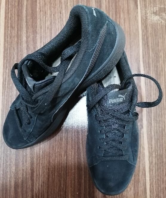کفش puma suede classic|کیف، کفش، کمربند|اصفهان, ملاصدرا|دیوار