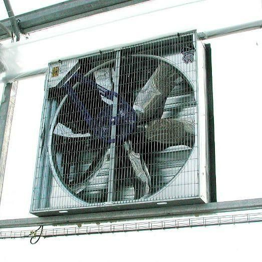 فن ۱۴۰ گلخانه|پنکه و تصفیه‌کنندهٔ هوا|شهرضا, |دیوار