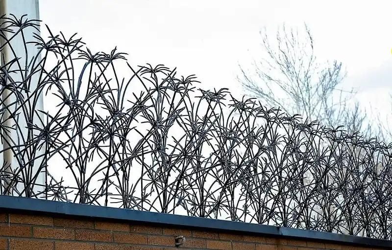 حفاظ دیواری ( شاخ گوزنی )|مصالح و تجهیزات ساختمان|قائن, |دیوار