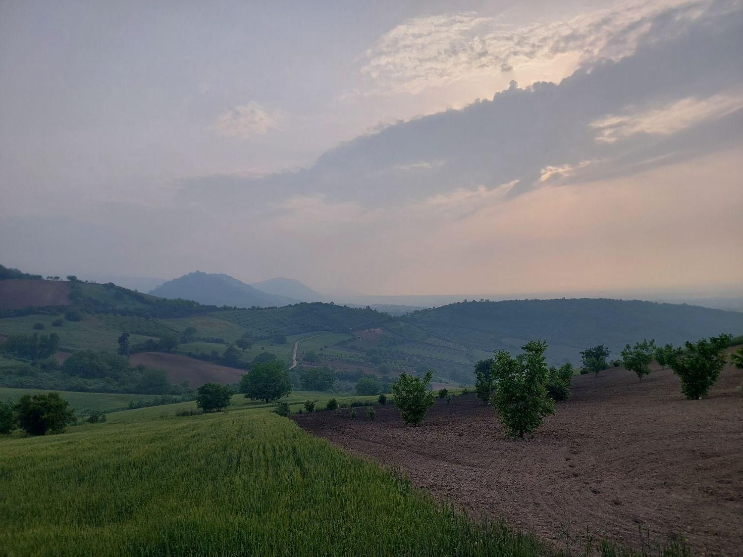 ۴۰۰۰متری کشاورزی روستای زیبای قلندر ایش کردکوی|فروش زمین و ملک کلنگی|کردکوی, |دیوار