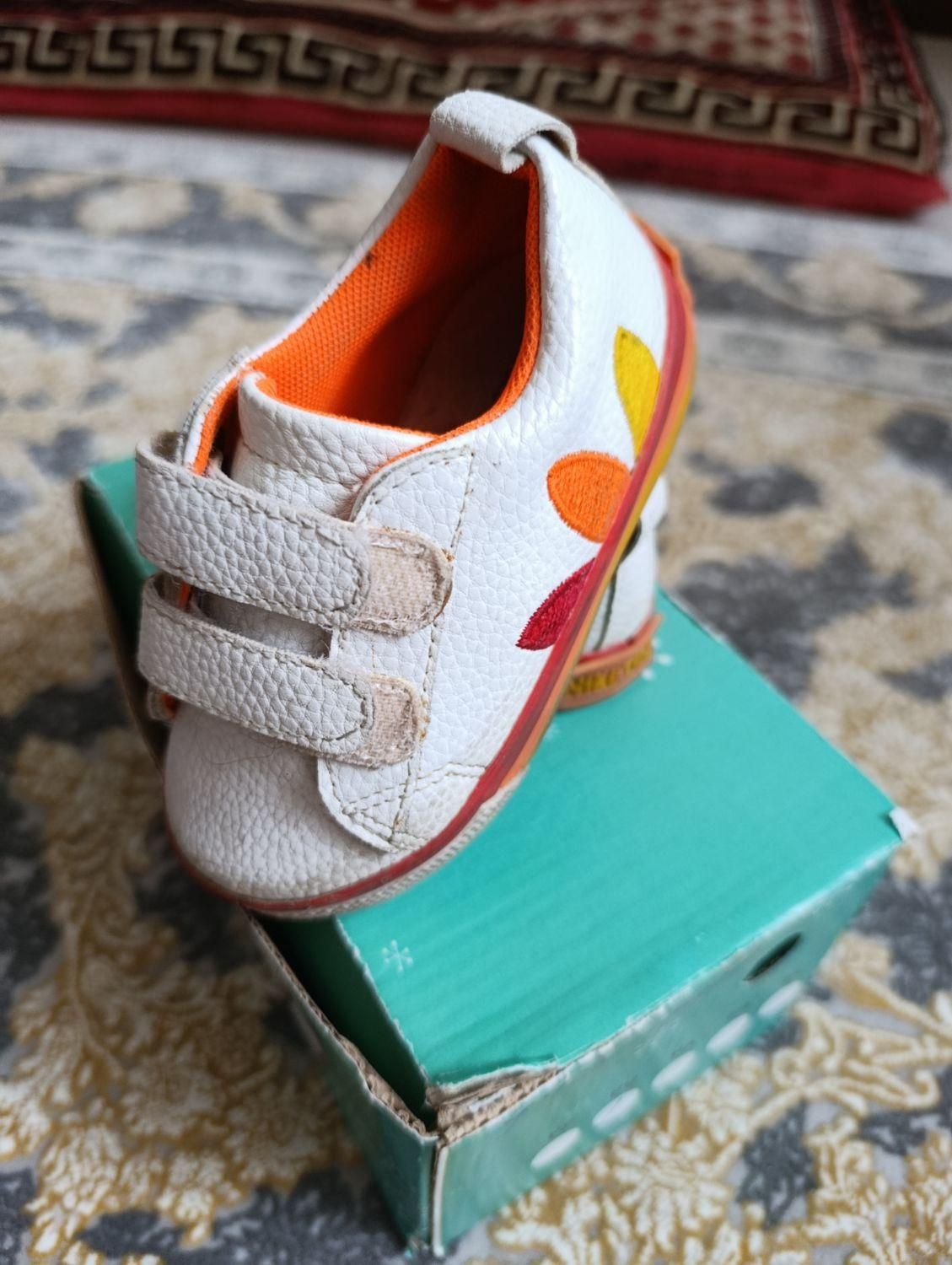 کتونی بچه گانه سایز22و26|کفش و لباس بچه|ساری, |دیوار