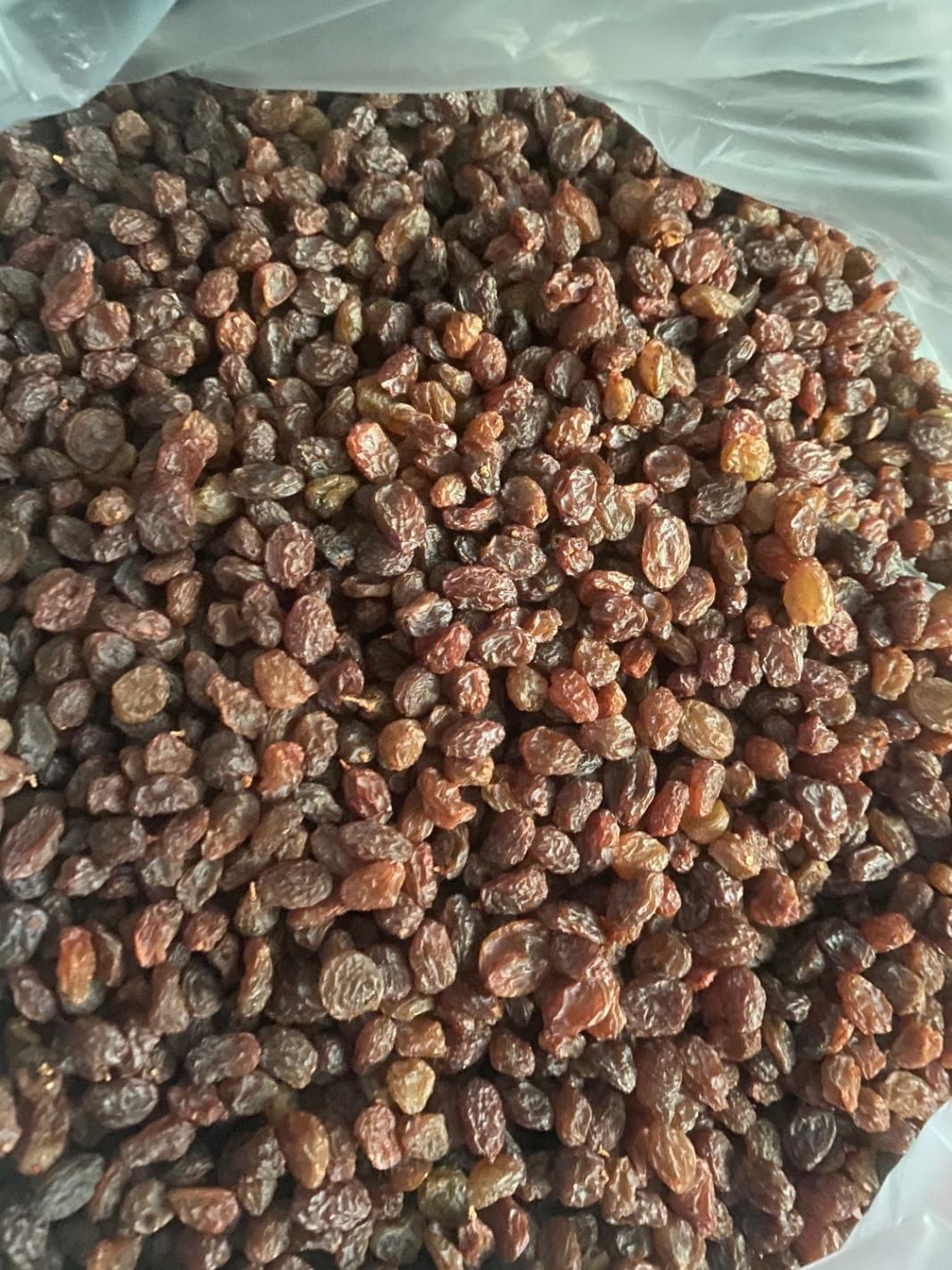 کشمش افتابی|عمدهفروشی|قرچک, زیبا شهر|دیوار